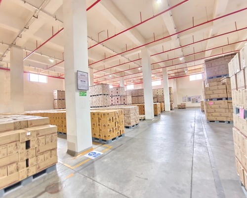 automatic sprinkler system